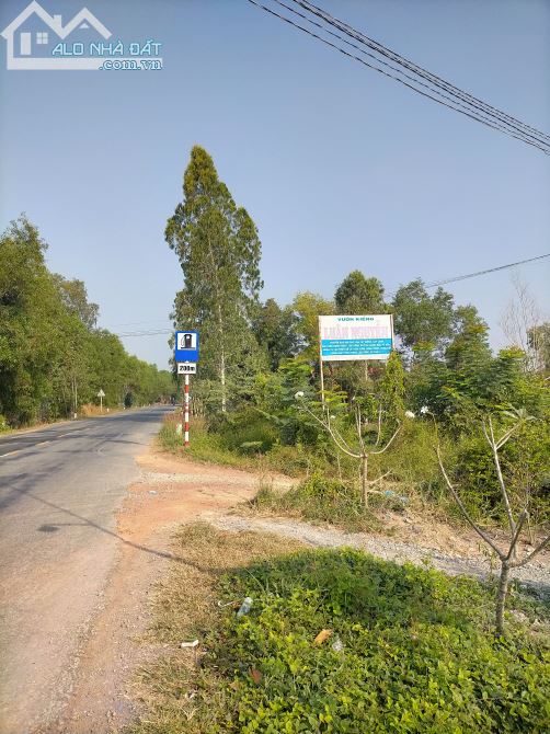 BÁN ĐẤT THỔ CƯ THỦ THỪA – LONG AN - 3