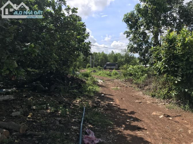 Bán đất vườn xã Ngọc định huyện định quán tỉnh Đồng Nai - 1