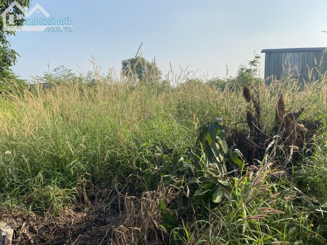 Bán 3600m2 đất Hoá An ngang 63m giá 20 tỷ cách Huỳnh Mẫn Đạt 50m phù hợp làm kho xưởng