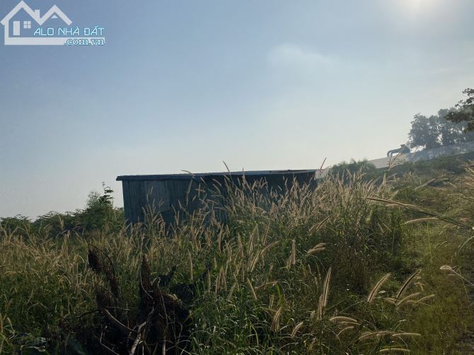 Bán 3600m2 đất Hoá An ngang 63m giá 20 tỷ cách Huỳnh Mẫn Đạt 50m phù hợp làm kho xưởng - 3