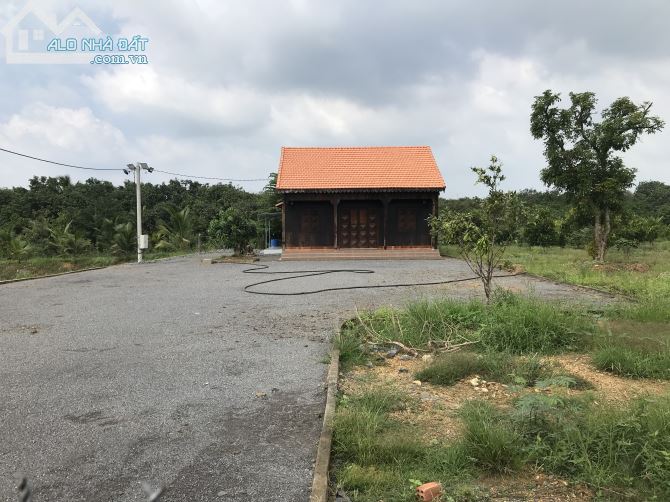 Bán đất vườn xã là ngà huyện định quán tỉnh Đồng Nai - 1