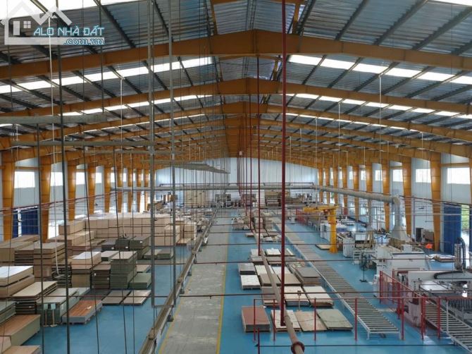 Cho thuê nhà xưởng 25.000m2 đường Tỉnh Lộ 10, Đức Hòa, Long An, gần nhiều KCN