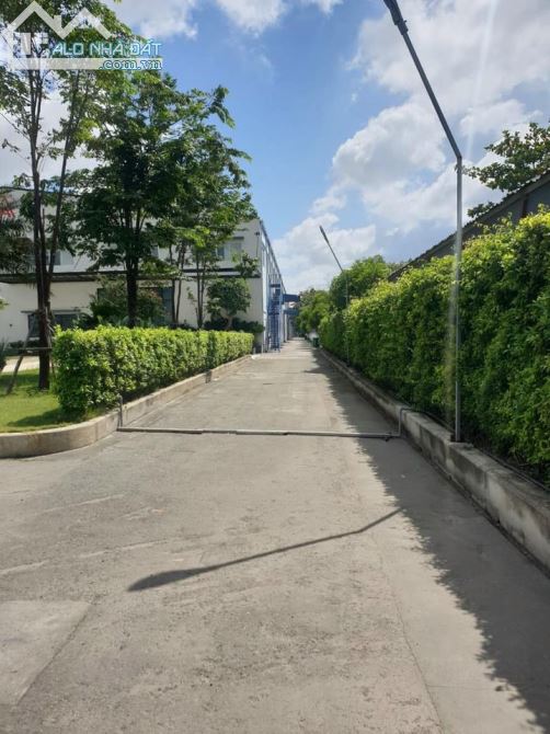 Cho thuê nhà xưởng 25.000m2 đường Tỉnh Lộ 10, Đức Hòa, Long An, gần nhiều KCN - 1