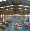 Cho thuê nhà xưởng 25.000m2 đường Tỉnh Lộ 10, Đức Hòa, Long An, gần nhiều KCN