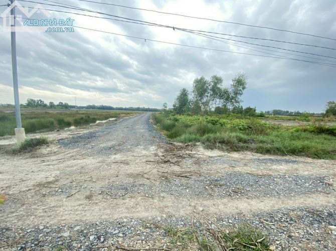 Cần bán 2 lô đất Vĩnh Thanh Nhơn Trạch,đường 5m giá gốc cắt sổ 1,5tr/m(dt 1000m qh ONT