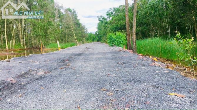 Đất vườn Vĩnh Thanh Nhơn Trạch-Vành Đai 3,giá gốc cắt sổ, đường ô tô  giá 1,2 tỷ/1000m CLN - 4