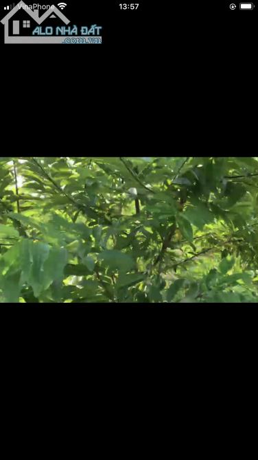 Bán đất vườn xã Ngọc định huyện định quán tỉnh Đồng Nai