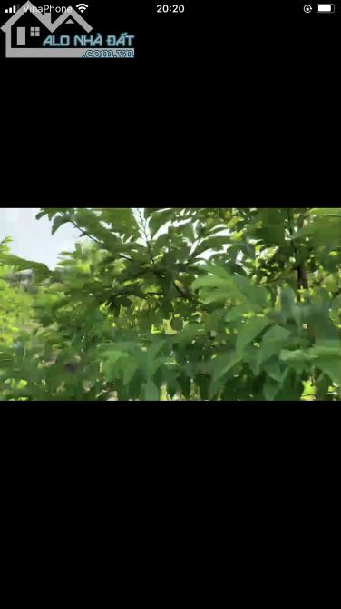 Bán đất vườn xã Ngọc định huyện định quán tỉnh Đồng Nai - 3