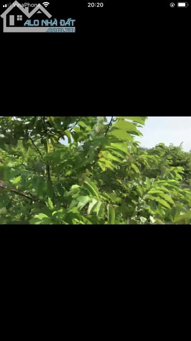 Bán đất vườn xã Ngọc định huyện định quán tỉnh Đồng Nai - 4