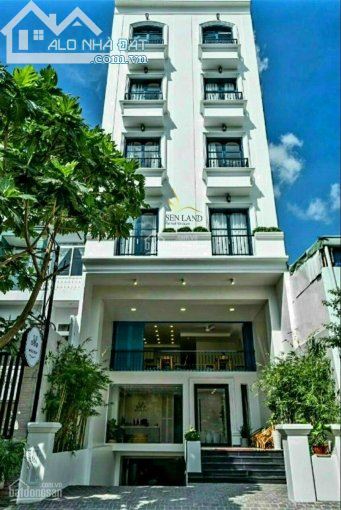 Bán khách Sạn Golden Central Sài Gòn Lý Tự Trọng quận 1: 16mx32m, 1h,12 lầu, 120p, TN500T - 1