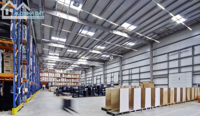 Cho thuê gấp kho xưởng diện tích 10.000m2 ở Phan Văn Hớn Phường Tân Thới Nhất Quận 12