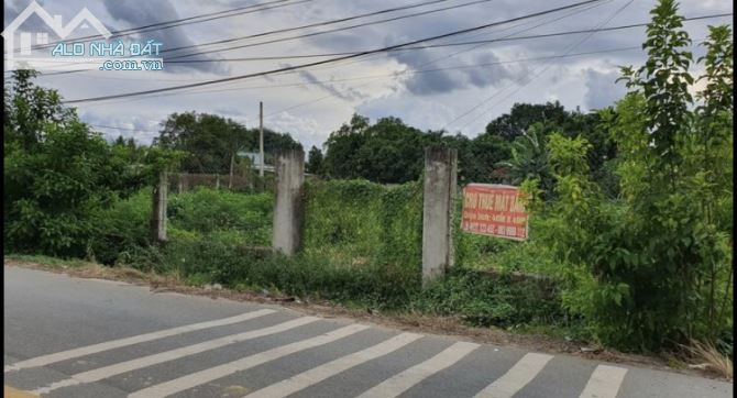 Cần bán đất 2 mặt tiền Trần Văn Chẩm xã Phước Vĩnh An đất cách  Tỉnh Lộ 8 100m vị trí đẹp - 1