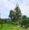 Đất nghỉ dưỡng Bảo Lộc view sông Đại Nga
