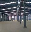 Cần cho thuê kho xưởng 6.000m2, KCN Tân Thới Hiệp, mặt tiền đường D6, Quận 12