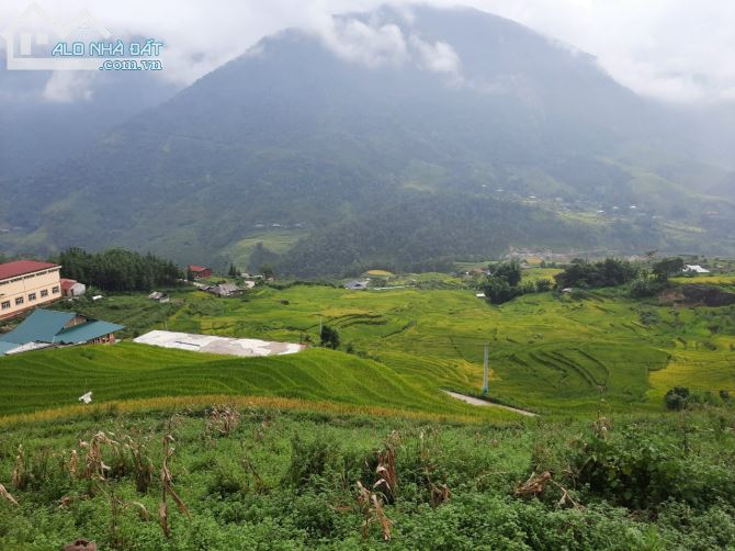 Bán đất bản tại Sapa, mảnh đất làm homestay view cực đẹp tại Sử Pán, Sapa Lào Cai - 1