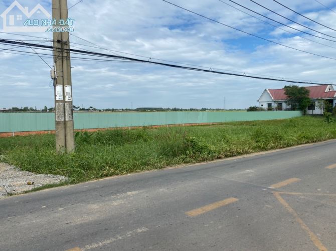 Cần bán 2ha mặt tiền Tỉnh Lộ 7 cách QL22 1,6km đất quy hoạch dân cư toàn bộ - 2