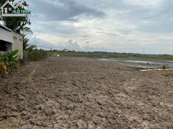 Cần bán 2ha mặt tiền Tỉnh Lộ 7 cách QL22 1,6km đất quy hoạch dân cư toàn bộ - 4