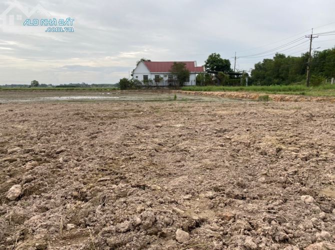 Cần bán 2ha mặt tiền Tỉnh Lộ 7 cách QL22 1,6km đất quy hoạch dân cư toàn bộ - 5