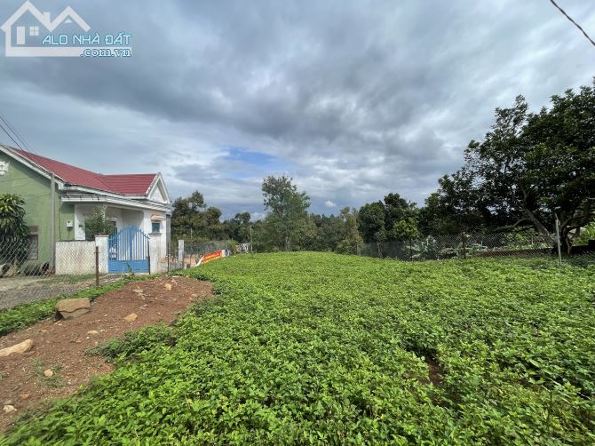 ❌❌ BÁN LÔ ĐẤT ĐẸP 2 MT HẺM 146 Nguyễn Chí Thanh, P. Tân Lập, BMT❌❌ - 1