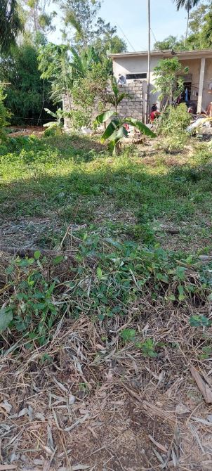 Đất kiệt ô tô Lợi Nông, phường Thủy Châu, Hương Thủy, Huế - 1
