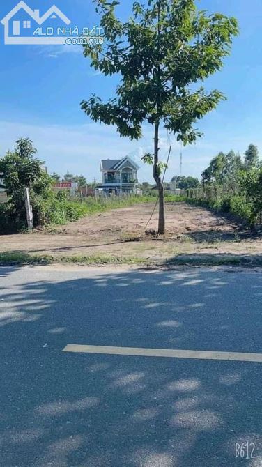 Bán lô đất đường Nguyễn Lương Bằng Thị trấn Long Hải, Long Điền, Bà Rịa Vũng Tàu 2ty650 - 4