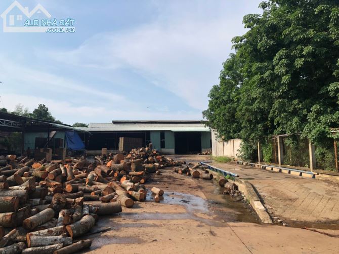 Bán nhà xưởng nha bích chơn thành,TP.Đồng Xoài,Bình Phước - 4