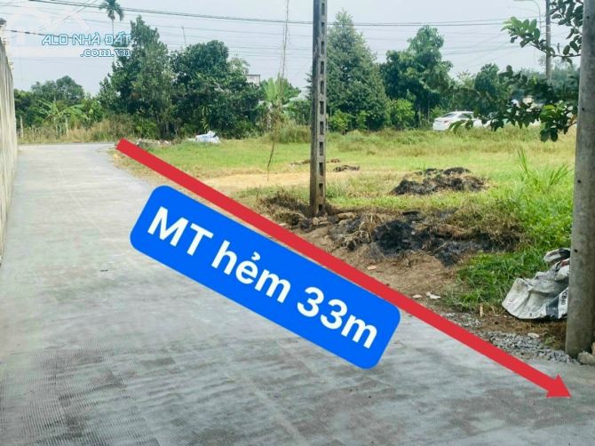 Đất thổ cư mặt tiền đường Bến Đình xã An Nhơn Tây Củ Chi, DT: 28x33m. - 2