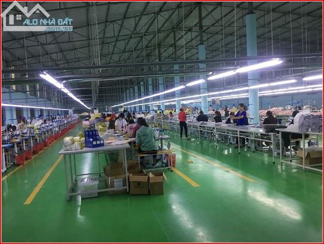 CHO THUÊ XƯỞNG MAY 6.000M2 ĐƯỜNG NGUYỄN VĂN QUÁ, GIÁP GÒ VẤP - 2