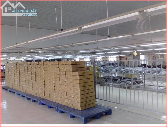 CẦN CHO THUÊ GẤP TOÀN BỘ XƯỞNG MAY 10.000M2 CAO CẤP TẠI Q. 12. TP. HCM - 2