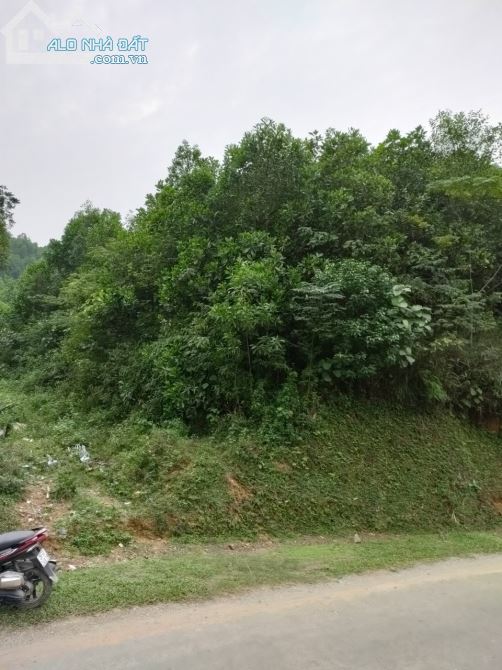 CẦN TIỀN TIÊU TẾT BÁN NHANH LÔ ĐẤT  VIEW ĐẸP 2,7HA  RSX  - KIM BÔI  -HOÀ BÌNH - 1