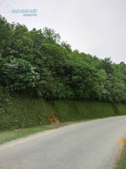 CẦN TIỀN TIÊU TẾT BÁN NHANH LÔ ĐẤT  VIEW ĐẸP 2,7HA  RSX  - KIM BÔI  -HOÀ BÌNH - 2