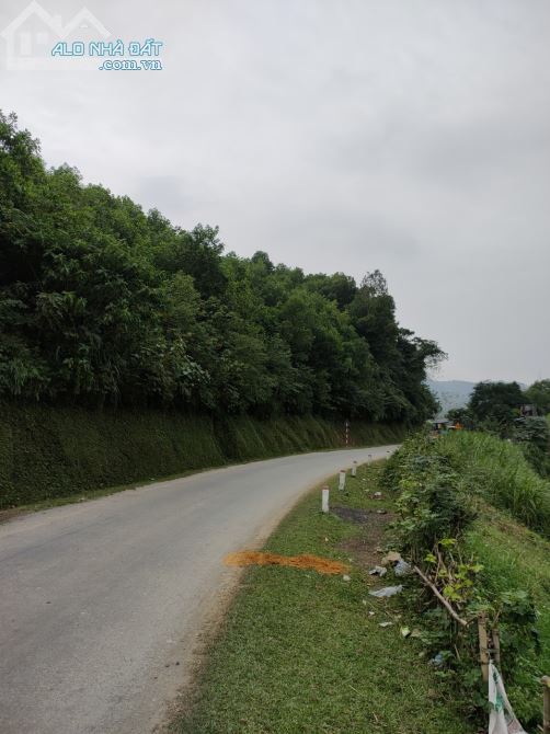 CẦN TIỀN TIÊU TẾT BÁN NHANH LÔ ĐẤT  VIEW ĐẸP 2,7HA  RSX  - KIM BÔI  -HOÀ BÌNH - 3