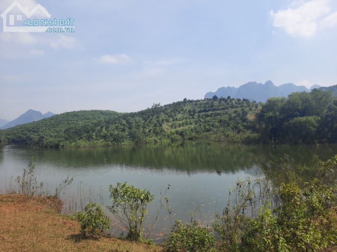 Bán lô 4.5ha RSX Tại kim bôi HB, như bán đảo thu nhỏ bám hồ quanh đất - 2