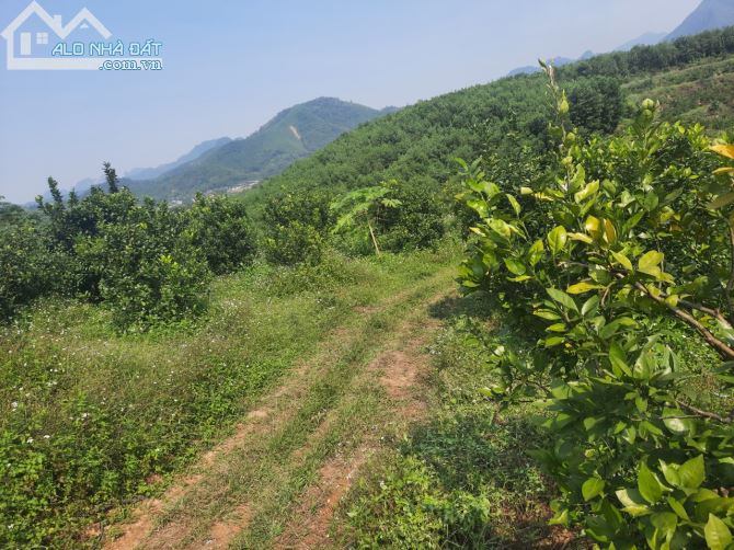 Bán lô 4.5ha RSX Tại kim bôi HB, như bán đảo thu nhỏ bám hồ quanh đất - 3