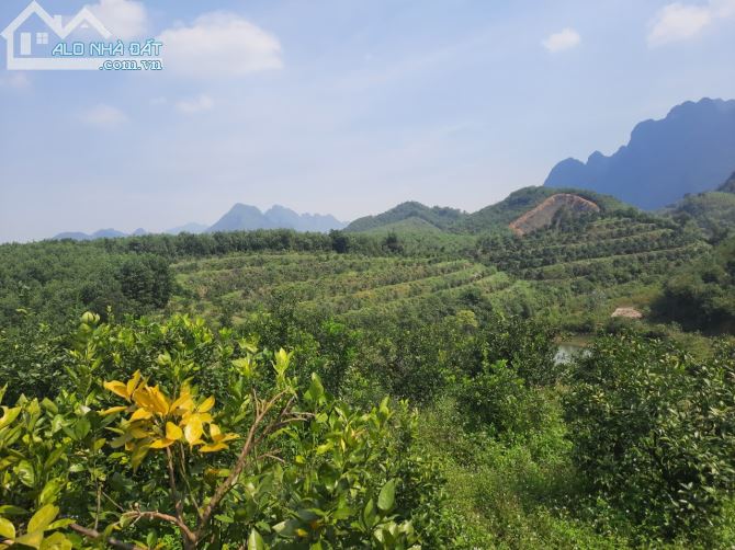 Bán lô 4.5ha RSX Tại kim bôi HB, như bán đảo thu nhỏ bám hồ quanh đất - 5
