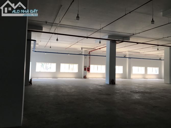Cho thuê nhà xưởng 2300m2 khu chế xuất Linh Trung 1, Linh Trung Thủ Đức