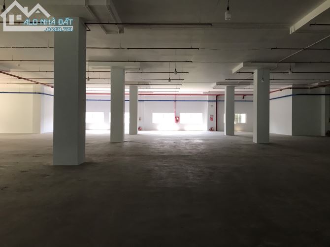 Cho thuê nhà xưởng 2300m2 khu chế xuất Linh Trung 1, Linh Trung Thủ Đức - 1