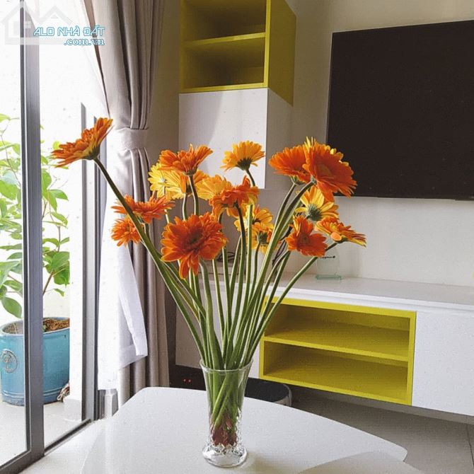 Căn hộ Masteri M-One Full tiện nghi cao cấp, 2Pn/2wc, Giá 14 Triệu - 3