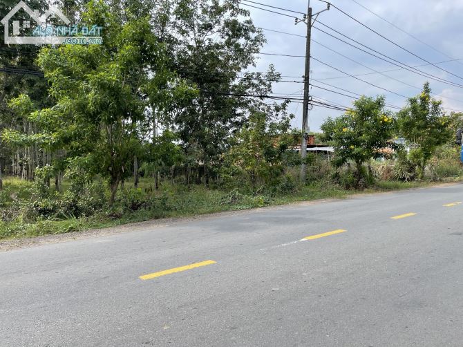 Cần bán đất mặt tiền đường Nguyễn Thị Rành xã An Nhơn Tây Củ Chi DT 2300m2 300 thổ cư - 2