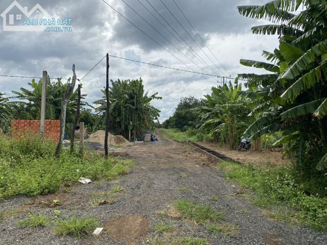 2 LÔ LIỀN KỀ, ĐẤT SIÊU DÀI, GIÁ ĐẦU TƯ, HOÀ KHÁNH, CÁCH QL14 CHỈ 800M, TP.BMT - 2
