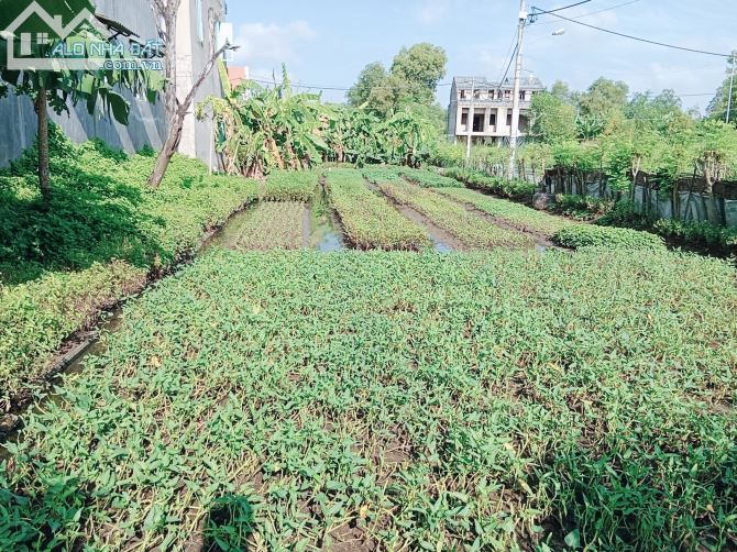 Bán đất tổng 99m2, lô góc 2 mặt tiền hẻm chính 1896 lê văn lương, nhơn đức, nhà bè. - 4