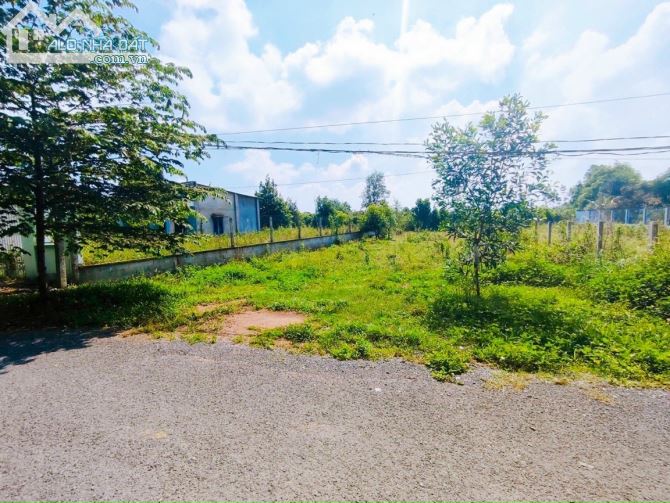 Cần bán đất mặt tiền đường nhựa Phan Thị Vẽ xã An Nhơn Tây 1503m2 có 300m thổ cư