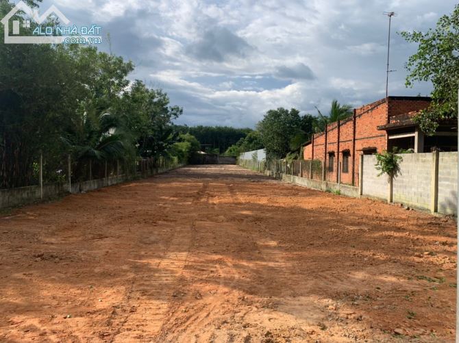 Cần bán đất mặt tiền đường Tỉnh Lộ 7 xã An Nhơn Tây Củ Chi 15x100 tổng 1500m2 300m2 thổ - 4