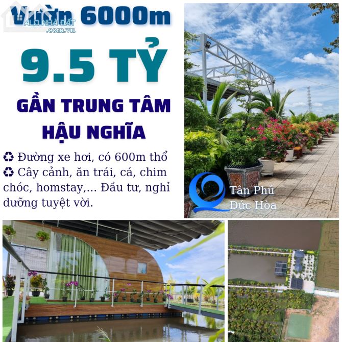 Vườn Sinh thái 6000m, có 600 thổ hạ giá 2 tỷ. Gần trung tâm Hậu Nghĩa