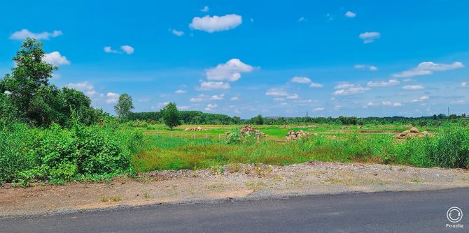 BÁN ĐẤT NGHỈ DƯỠNG LONG TÂN ĐẤT ĐỎ BÀ RỊA VŨNG TÀU DT 2,38 SÀO