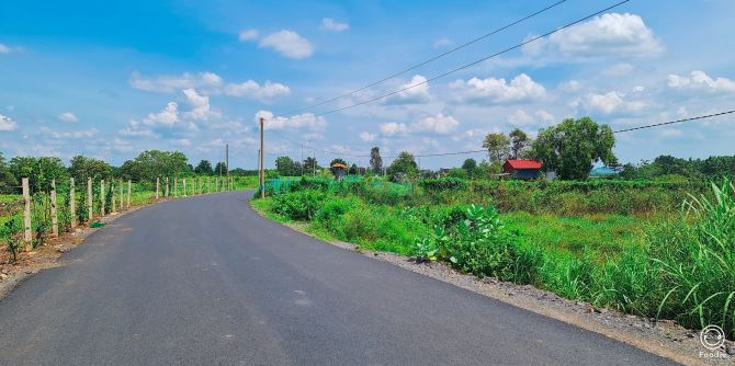 BÁN ĐẤT NGHỈ DƯỠNG LONG TÂN ĐẤT ĐỎ BÀ RỊA VŨNG TÀU DT 2,38 SÀO - 1