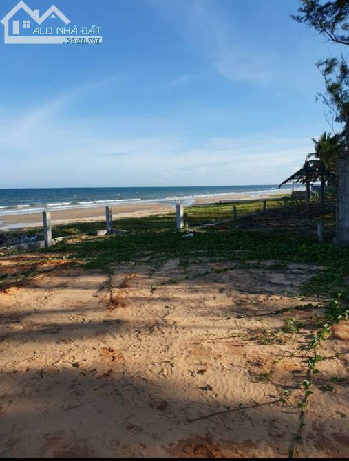 Bán 1647m2 mặt tiền Lạc Long Quân có 500 thổ cư, xã Tiến Thành, Phan Thiết giá 20tr/m2 - 1