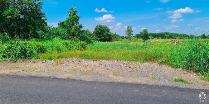 BÁN ĐẤT NGHỈ DƯỠNG LONG TÂN ĐẤT ĐỎ BÀ RỊA VŨNG TÀU DT 2,38 SÀO - 4