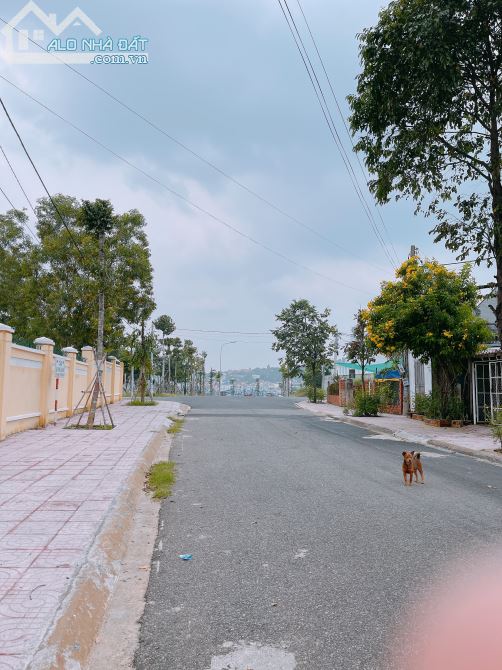 Cần Bán 223m2 3 Mặt Tiền Đường Hiền Vương Cạnh Sông Biển Thoáng Mát Quanh Năm TPPhan Thiết - 3