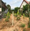 Cần tiền bán đất 396m2 ngang 10m Suối Tiên Diên Khánh - thích hợp làm nhà vườn